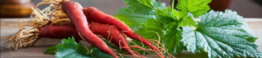 Red Ginseng and nettle green leaves