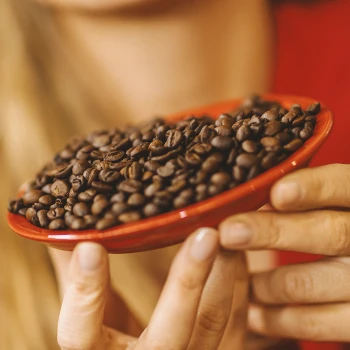 Close up shot of coffee beans