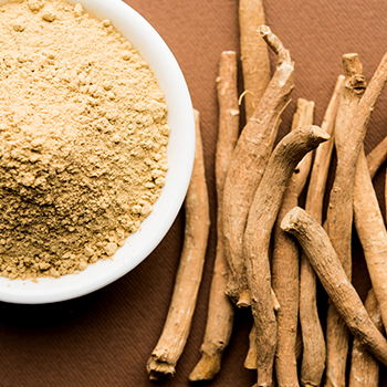 Top view of powdered ashwagandha nootropic in a bowl