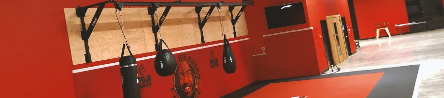 Joe Rogan's gym with different equipments