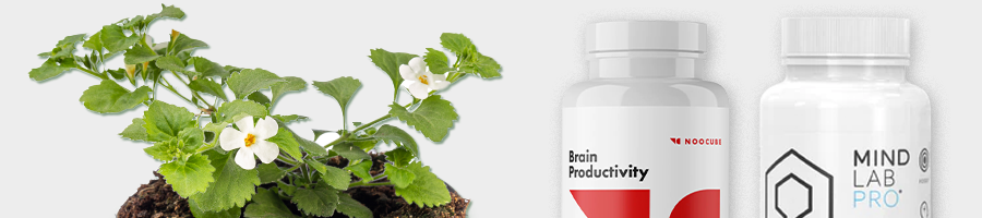 Bacopa Monnieri plant with supplement container overlay