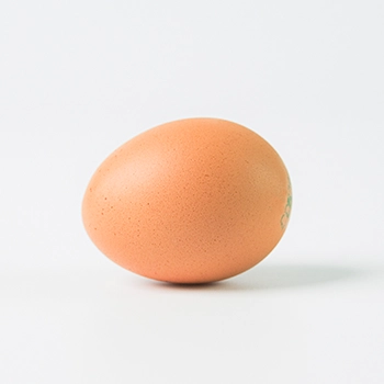 An egg as a representation of Choline nutrients