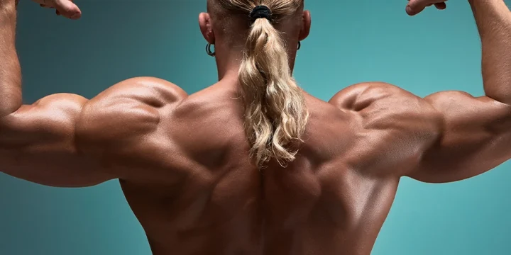 Showing back and shoulder muscles