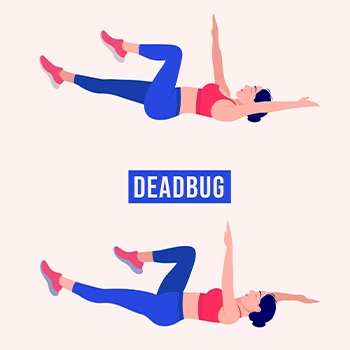 Illustration of Dead Bug workout