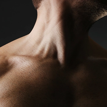 Neck muscle silhouette