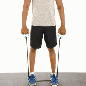 resistance band reverse bicep curl