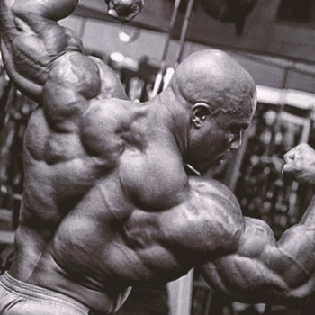 Phil heath back workout sale