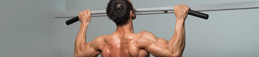 Back muscle exercise for muscle gains