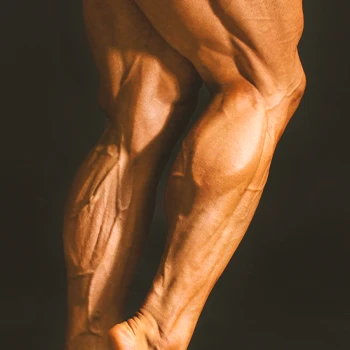 A close up shot of soleus muscles