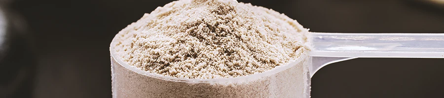Close up shot of protein powder on a scoop