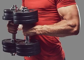 Holding two dumbbells for arm workout