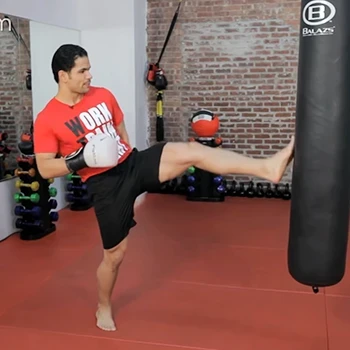 A man doing a front kick to a punching bag