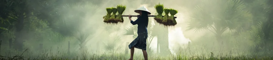 Farmer carrying a load