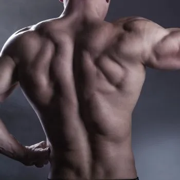 Close up of a muscular mans back