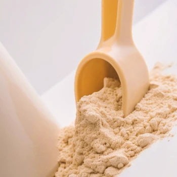 Close up shot of whey protein