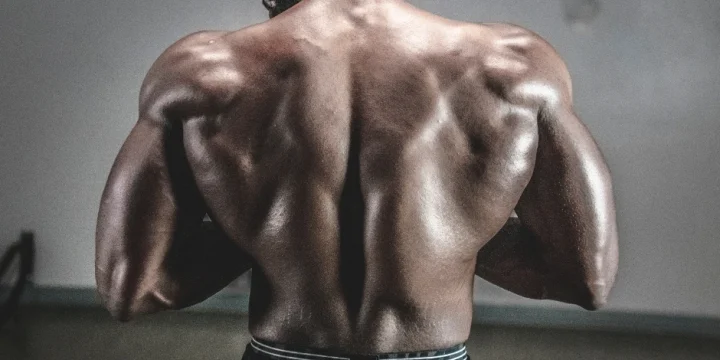 A man with bulky muscles