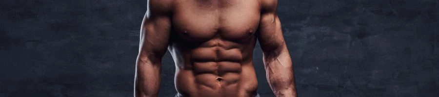 Sean Faris's body is lean and toned