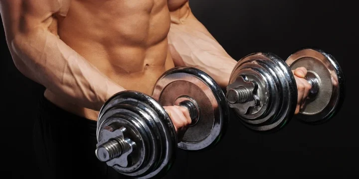 A muscular man holding dumbbelss