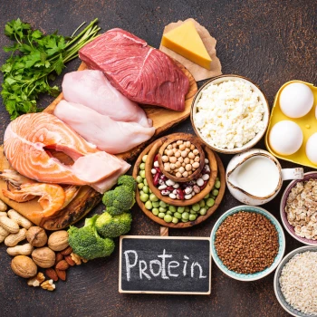 Different sources of proteins