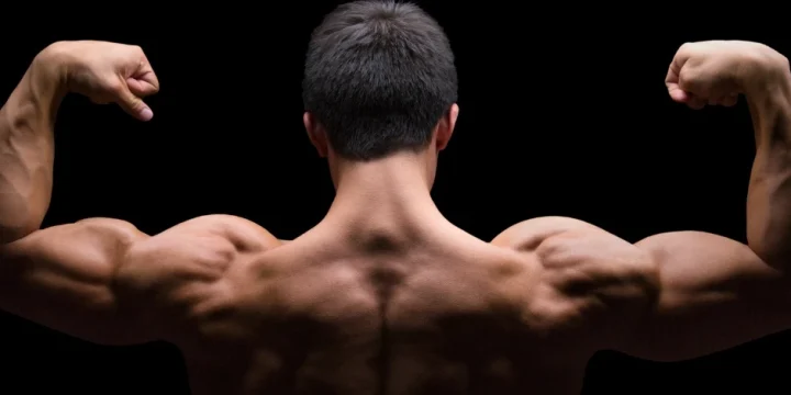 A muscular bodybuilder flexing his biceps and back